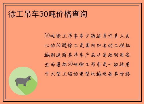 徐工吊车30吨价格查询
