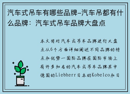 汽车式吊车有哪些品牌-汽车吊都有什么品牌：汽车式吊车品牌大盘点