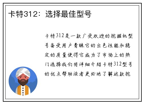 卡特312：选择最佳型号