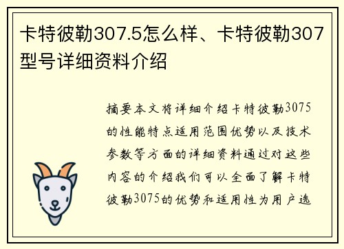 卡特彼勒307.5怎么样、卡特彼勒307型号详细资料介绍